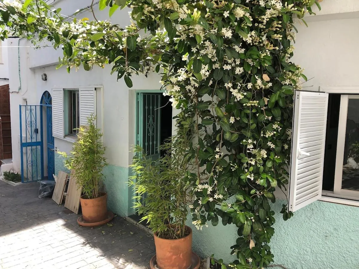 Gran Apartamento Centro Pueblo 5 Personas Conil De La Frontera